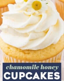 These chamomile cupcakes are the perfect blend of fluffy, soft, and moist. Topped with a generous swirl of honey buttercream frosting, they taste like a sweet cup of chamomile tea, and are perfect for Spring and/or Easter!