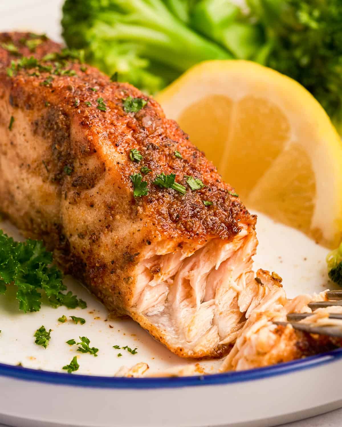 Air Fryer Cajun Salmon - The Chunky Chef