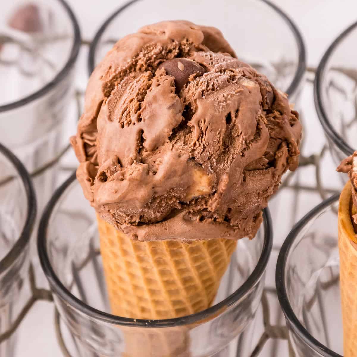 Malted Chocolate Ice Cream