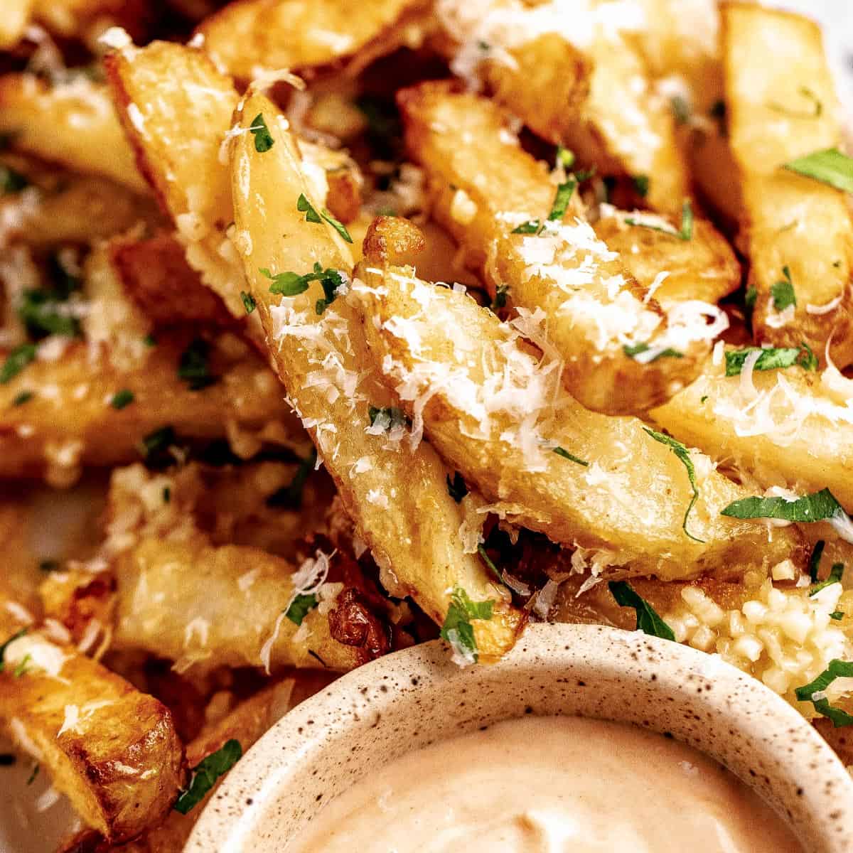 Air Fryer Garlic Parmesan French Fries