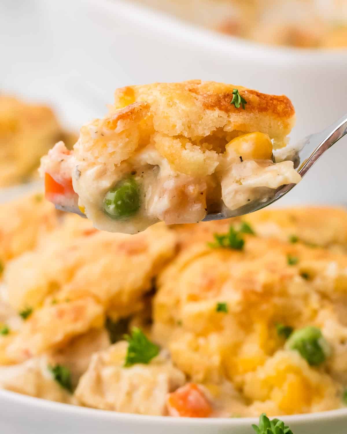 creamy-chicken-cobbler-the-chunky-chef