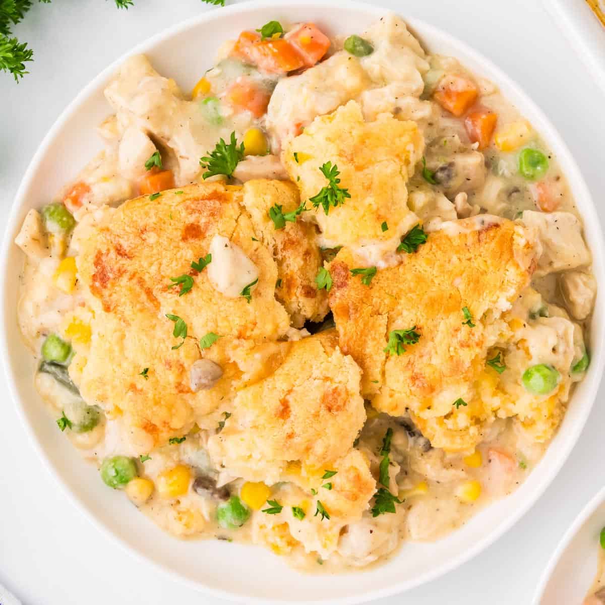 Creamy Chicken Cobbler