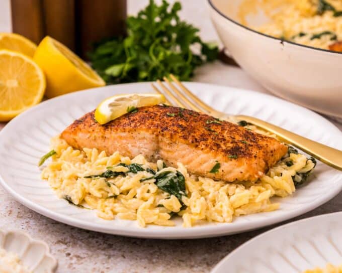 white plate with a bed of creamy orzo topped with a salmon filet.