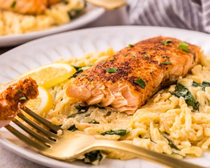 flaky salmon on a bed of creamy orzo pasta