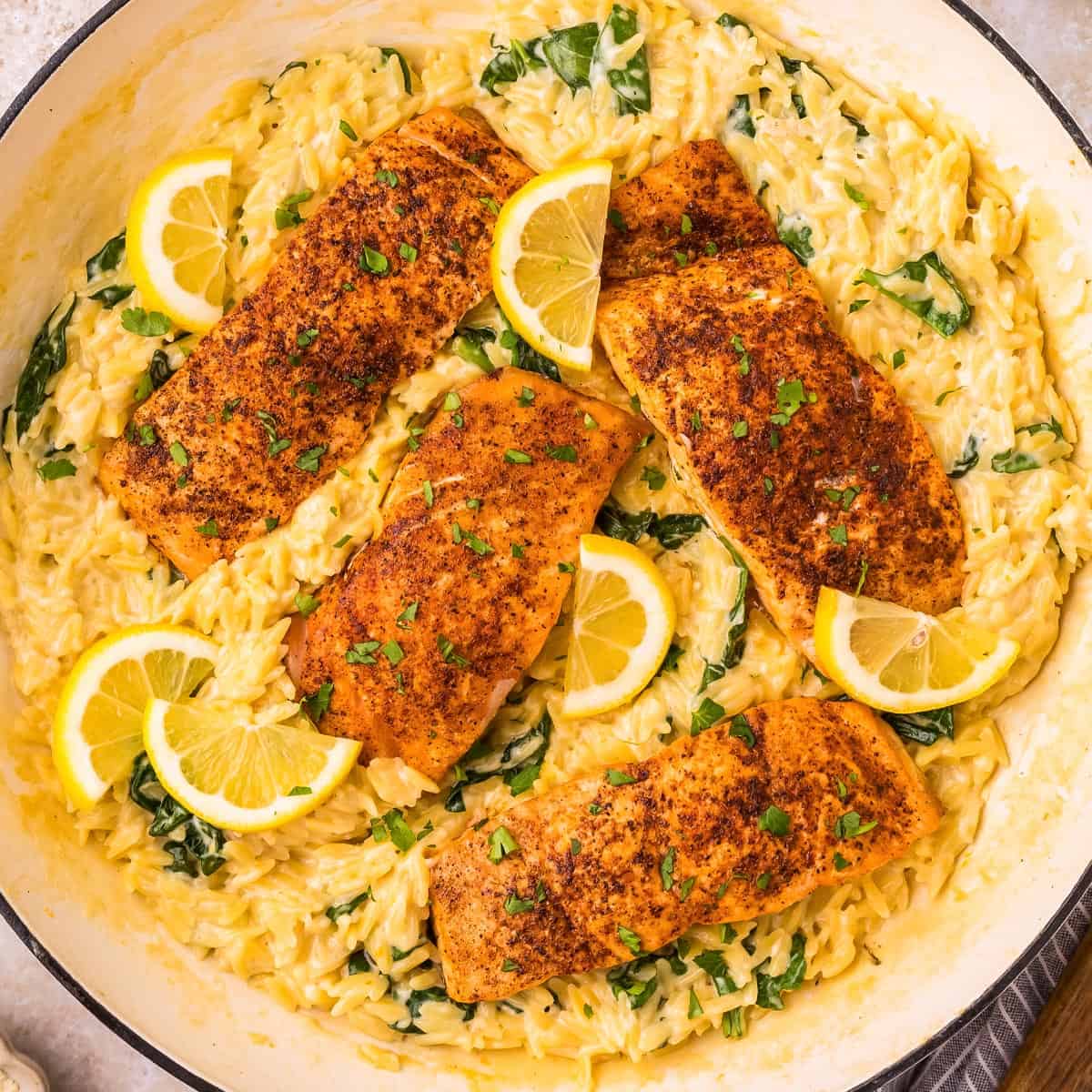 Seared Salmon and Creamy Orzo Pasta