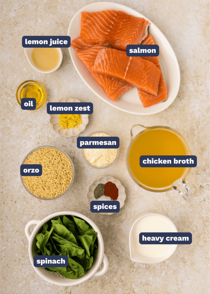 ingredients needed to make salmon and creamy orzo pasta.
