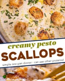 Simple and easy, this creamy pesto scallops recipe is made in one skillet, and ready in about 30-40 minutes! Succulent sea scallops are seared and nestled into a creamy pesto sauce that's packed with bold savory flavors... it's a perfect weeknight dinner idea!