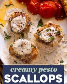 Simple and easy, this creamy pesto scallops recipe is made in one skillet, and ready in about 30-40 minutes! Succulent sea scallops are seared and nestled into a creamy pesto sauce that's packed with bold savory flavors... it's a perfect weeknight dinner idea!