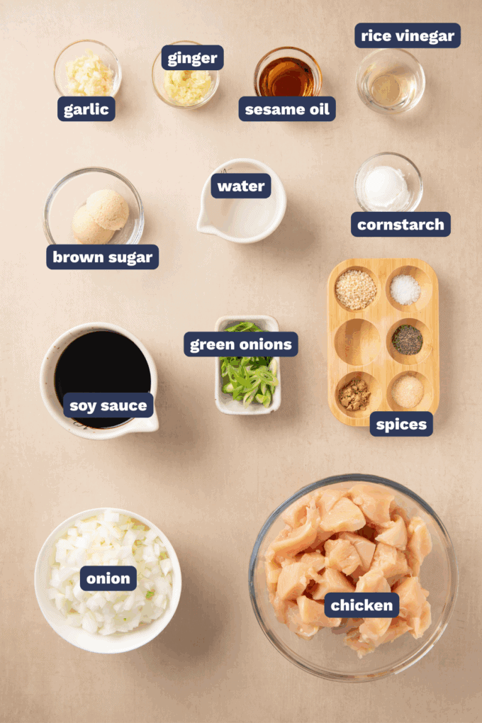 ingredients needed to make air fryer teriyaki chicken bites