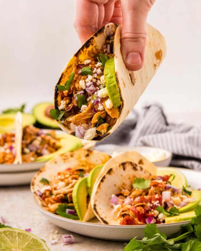 holding a chicken tinga taco