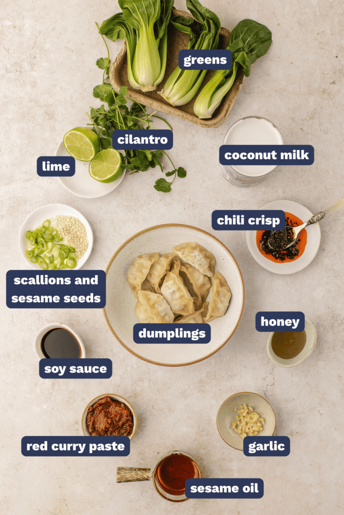 ingredients needed to make red coconut curry dumpling bake