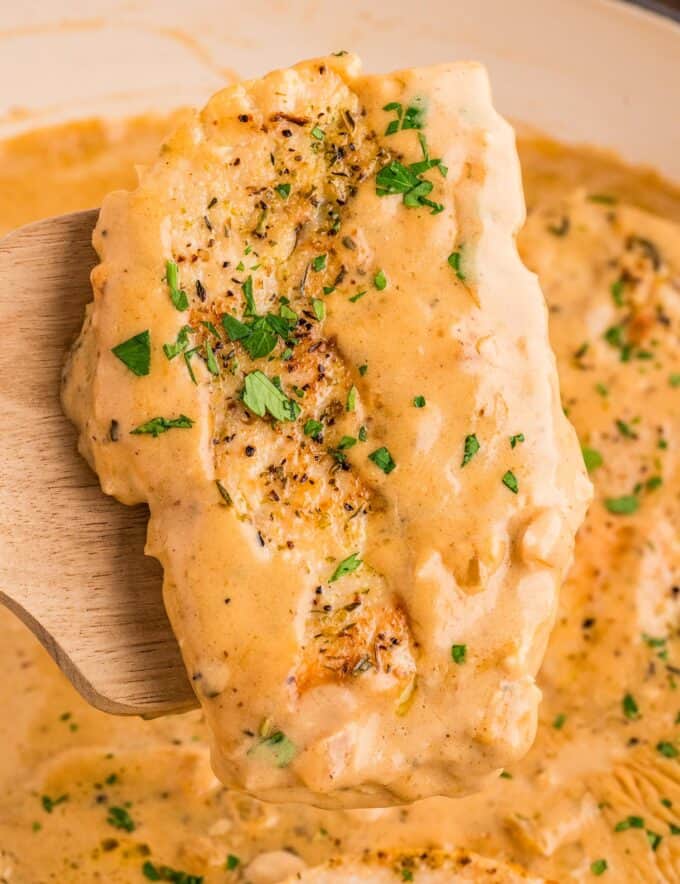 This creamy dijon chicken is the ultimate weeknight dinner, ready in around 30 minutes, and made in just one pan! With the ability to switch up the protein or play with different flavors, this versatile meal will be a family favorite!